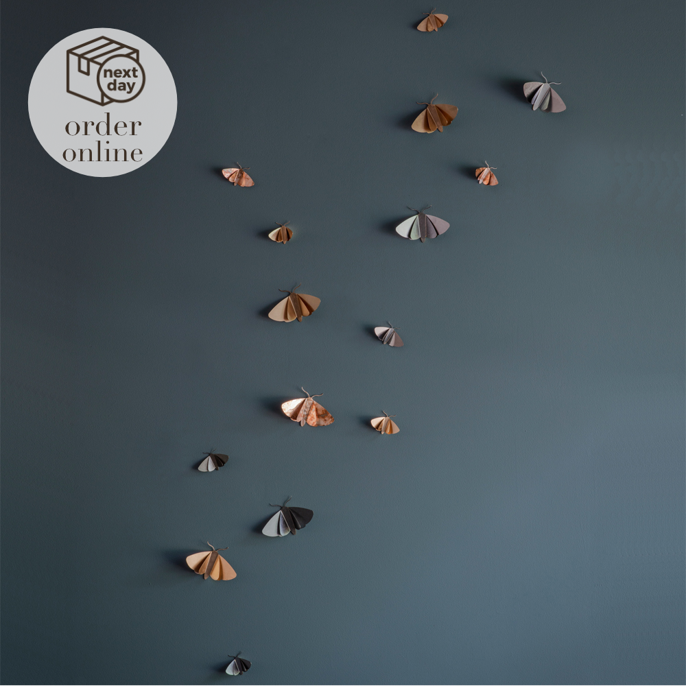 Moth Wall Décor - Eclipse
