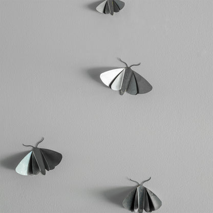 Moth Wall Décor - Whisper
